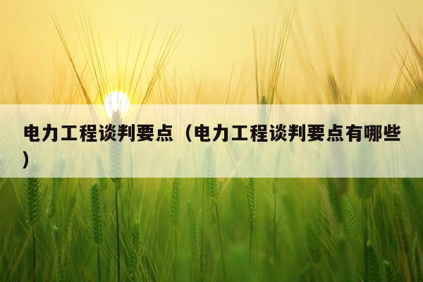电力工程谈判要点（电力工程谈判要点有哪些）