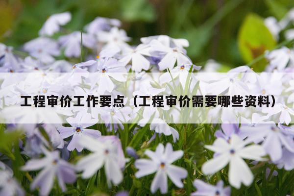 工程审价工作要点（工程审价需要哪些资料）