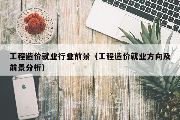 工程造价就业行业前景（工程造价就业方向及前景分析）