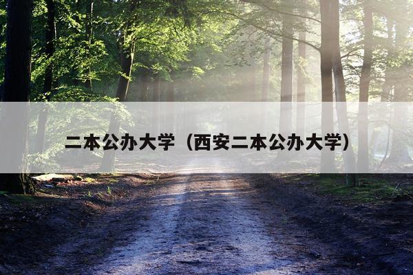 二本公办大学（西安二本公办大学）