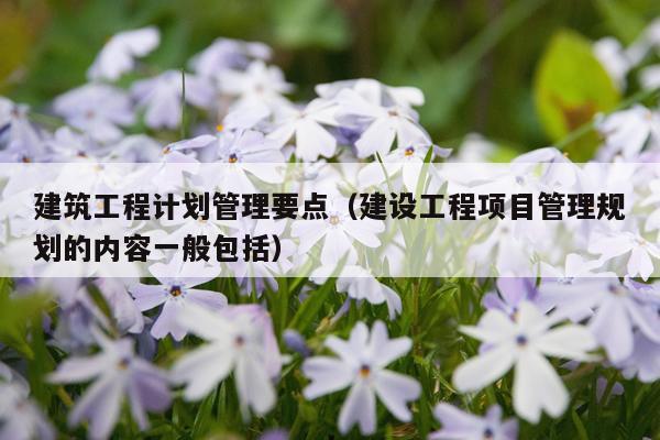 建筑工程计划管理要点（建设工程项目管理规划的内容一般包括）
