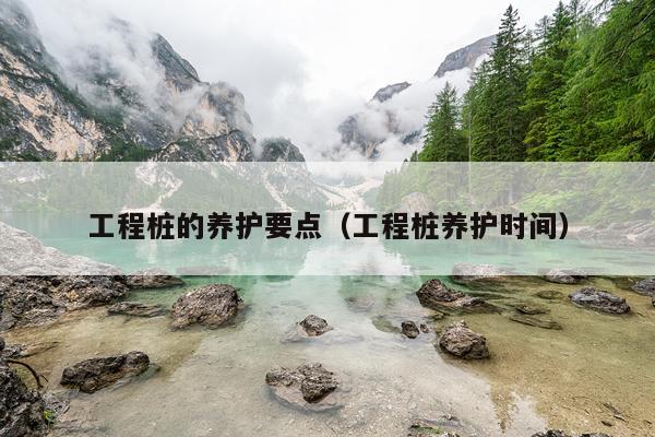 工程桩的养护要点（工程桩养护时间）