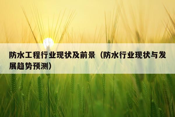 防水工程行业现状及前景（防水行业现状与发展趋势预测）