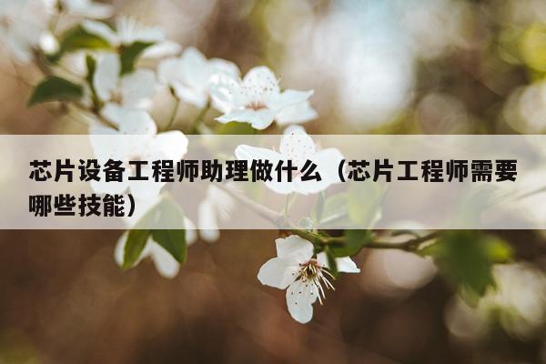 芯片设备工程师助理做什么（芯片工程师需要哪些技能）