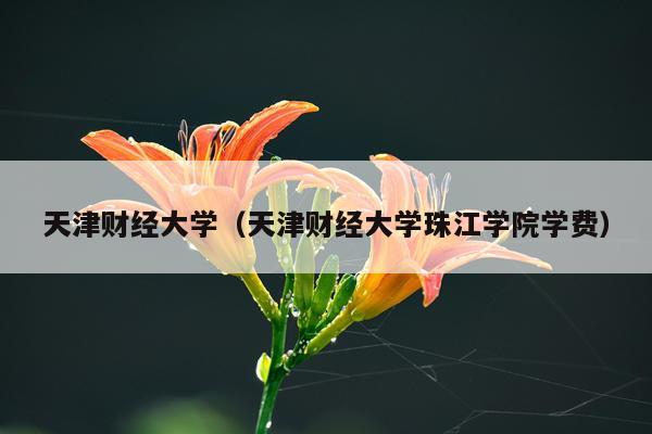 天津财经大学（天津财经大学珠江学院学费）