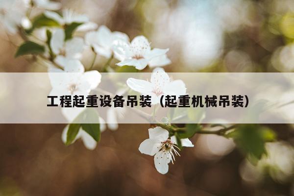 工程起重设备吊装（起重机械吊装）