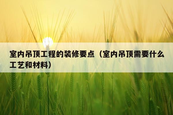 室内吊顶工程的装修要点（室内吊顶需要什么工艺和材料）