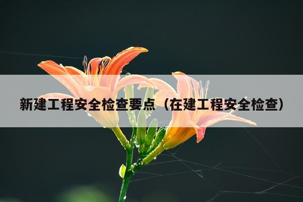 新建工程安全检查要点（在建工程安全检查）