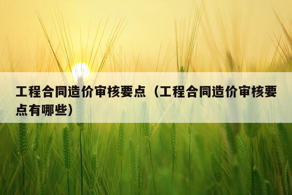 工程合同造价审核要点（工程合同造价审核要点有哪些）