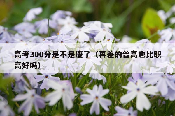 高考300分是不是废了（再差的普高也比职高好吗）
