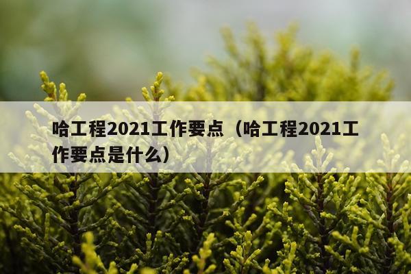 哈工程2021工作要点（哈工程2021工作要点是什么）