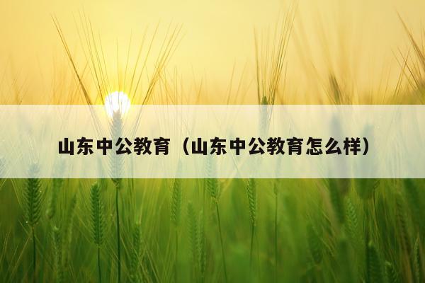 山东中公教育(山东中公教育怎么样)