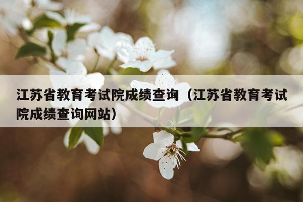 江苏省教育考试院成绩查询（江苏省教育考试院成绩查询网站）