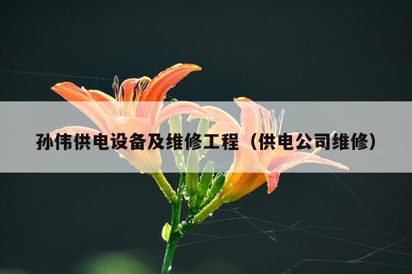 孙伟供电设备及维修工程（供电公司维修）