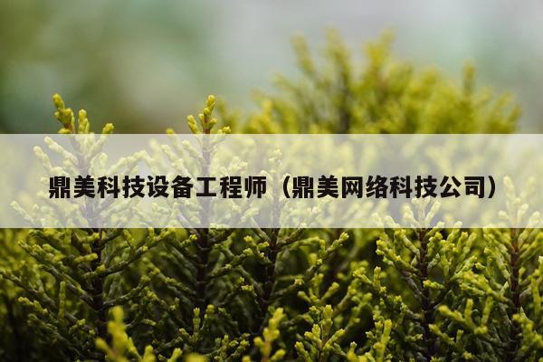 鼎美科技设备工程师（鼎美网络科技公司）