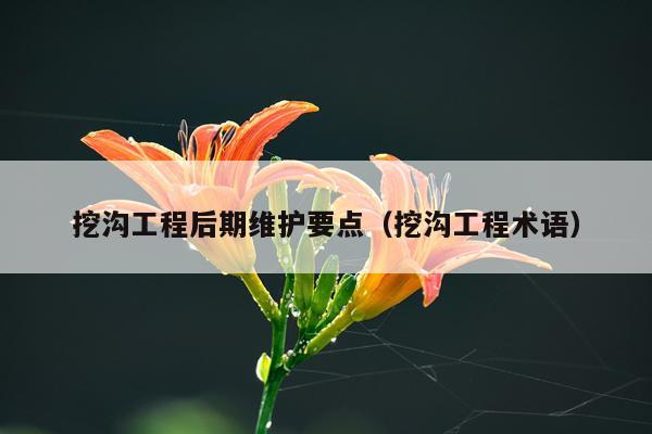 挖沟工程后期维护要点（挖沟工程术语）