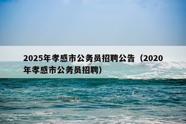 2025年孝感市公务员招聘公告（2020年孝感市公务员招聘）