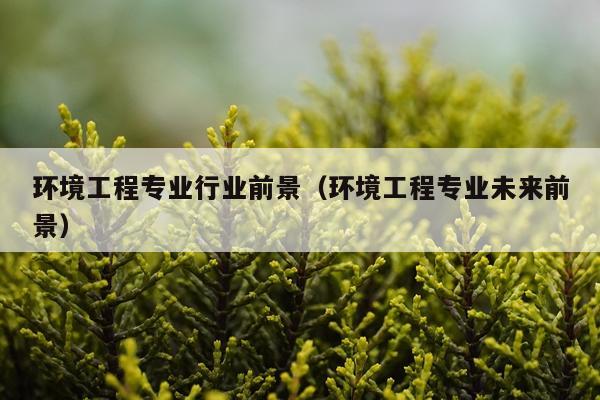 环境工程专业行业前景(环境工程专业未来前景)