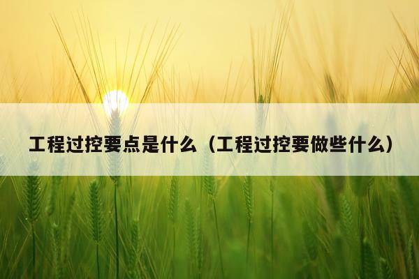 工程过控要点是什么（工程过控要做些什么）