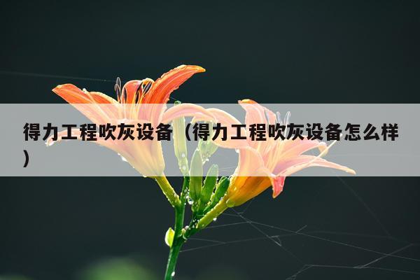 得力工程吹灰设备（得力工程吹灰设备怎么样）