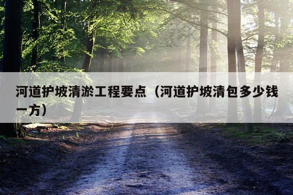 河道护坡清淤工程要点（河道护坡清包多少钱一方）