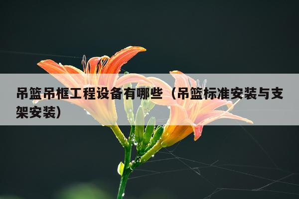 吊篮吊框工程设备有哪些（吊篮标准安装与支架安装）