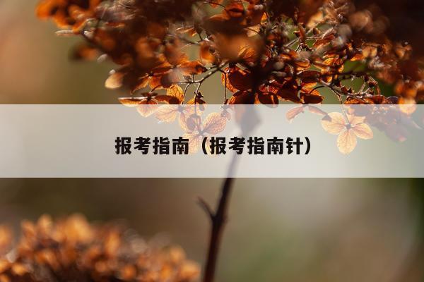 报考指南（报考指南针）