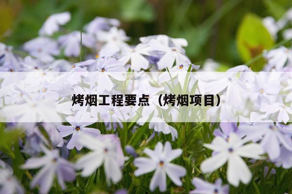 烤烟工程要点（烤烟项目）
