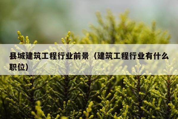 县城建筑工程行业前景（建筑工程行业有什么职位）