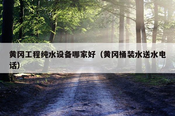 黄冈工程纯水设备哪家好（黄冈桶装水送水电话）