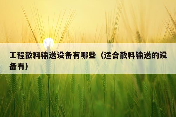 工程散料输送设备有哪些（适合散料输送的设备有）