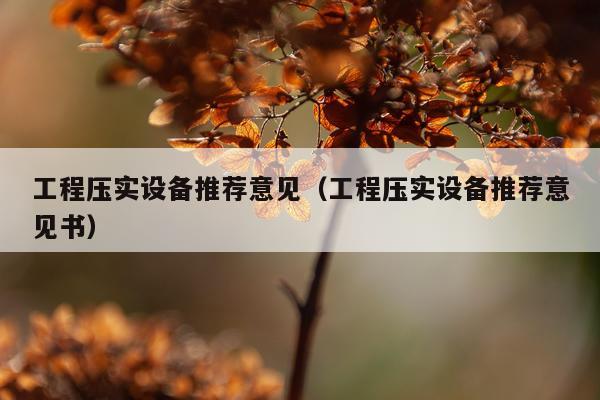 工程压实设备推荐意见（工程压实设备推荐意见书）