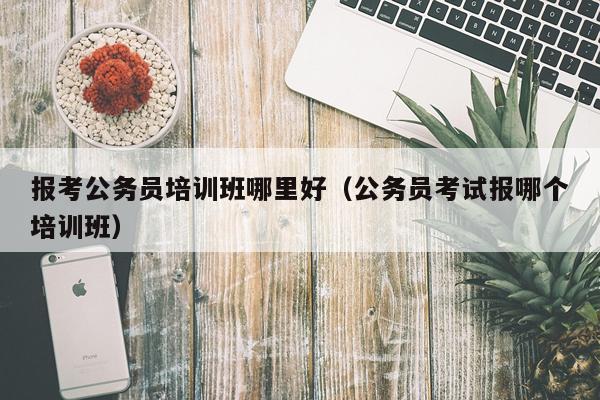 报考公务员培训班哪里好（公务员考试报哪个培训班）
