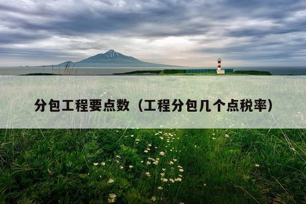 分包工程要点数（工程分包几个点税率）