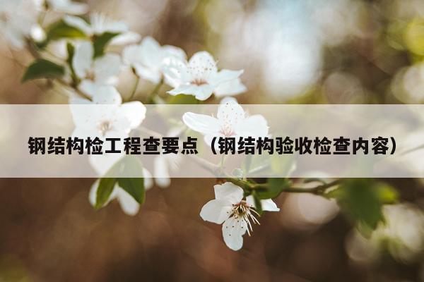 钢结构检工程查要点（钢结构验收检查内容）