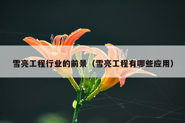 雪亮工程行业的前景（雪亮工程有哪些应用）