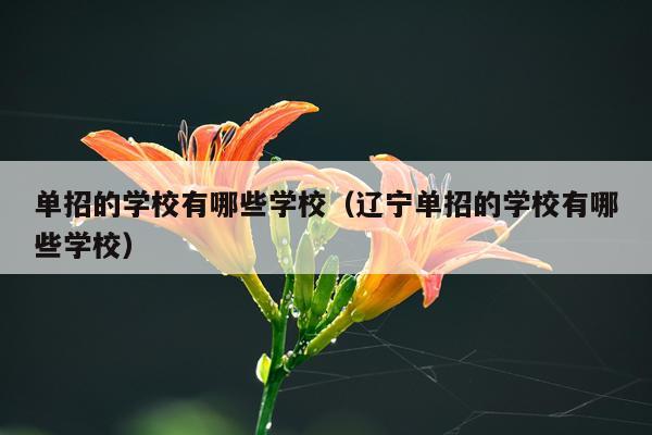 单招的学校有哪些学校（辽宁单招的学校有哪些学校）