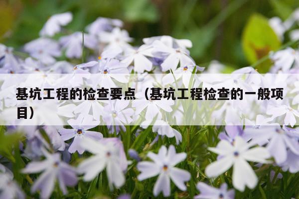 基坑工程的检查要点（基坑工程检查的一般项目）