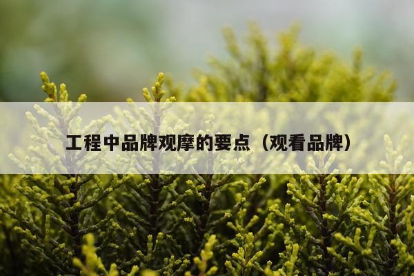 工程中品牌观摩的要点（观看品牌）