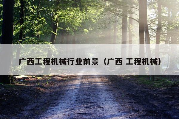 广西工程机械行业前景（广西 工程机械）