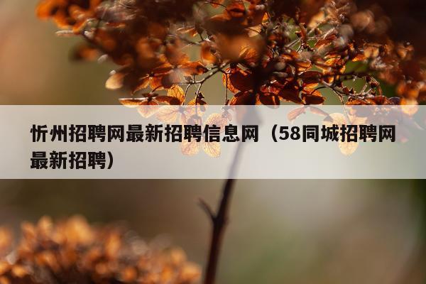 忻州招聘网最新招聘信息网（58同城招聘网最新招聘）