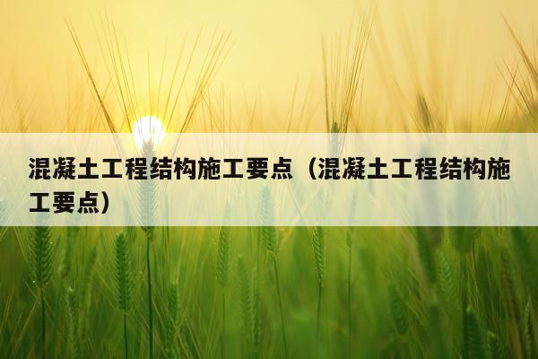混凝土工程结构施工要点(混凝土工程结构施工要点)