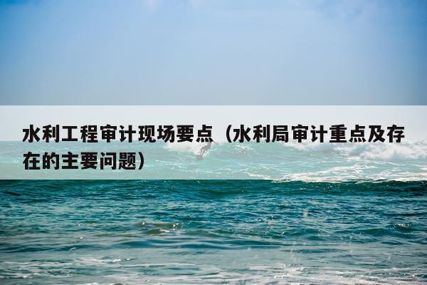 水利工程审计现场要点（水利局审计重点及存在的主要问题）