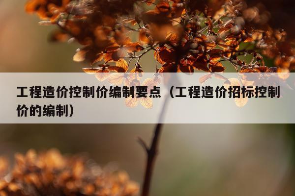 工程造价控制价编制要点(工程造价招标控制价的编制)