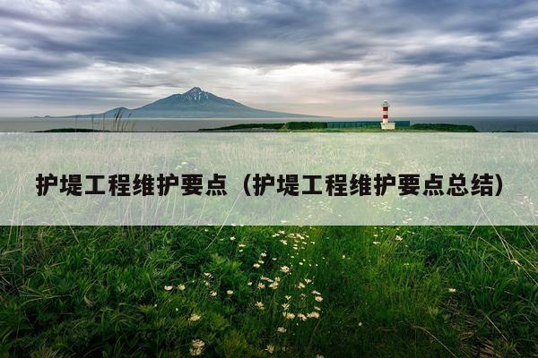 护堤工程维护要点（护堤工程维护要点总结）