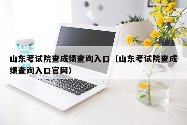 山东考试院查成绩查询入口（山东考试院查成绩查询入口官网）