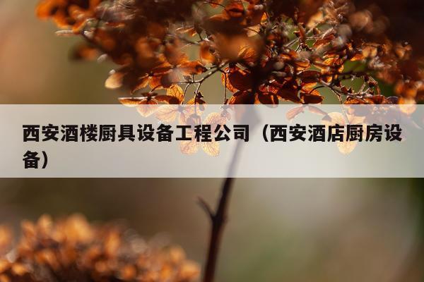 西安酒楼厨具设备工程公司（西安酒店厨房设备）