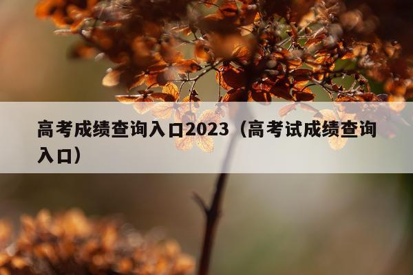 高考成绩查询入口2023（高考试成绩查询入口）
