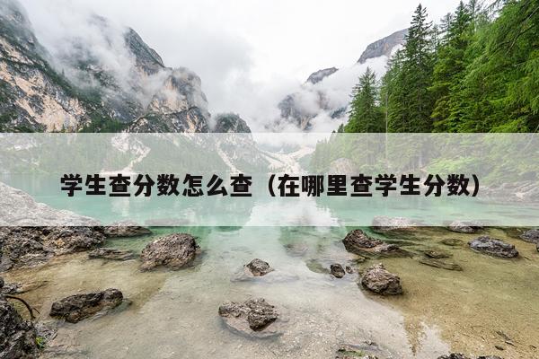 学生查分数怎么查（在哪里查学生分数）