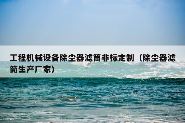 工程机械设备除尘器滤筒非标定制（除尘器滤筒生产厂家）